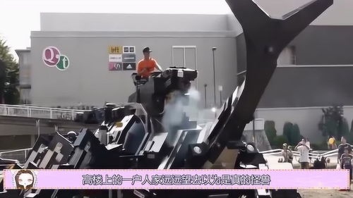 日本驚現(xiàn)巨型機械甲蟲汽車 七旬研發(fā)者11載匠心鑄就，推動機械設(shè)備租賃新篇章